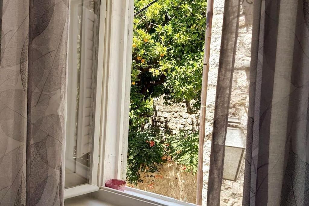 House Marija In Old Town Apartment ดูบรอฟนิก ภายนอก รูปภาพ