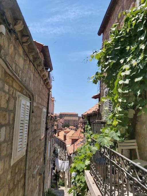 House Marija In Old Town Apartment ดูบรอฟนิก ภายนอก รูปภาพ