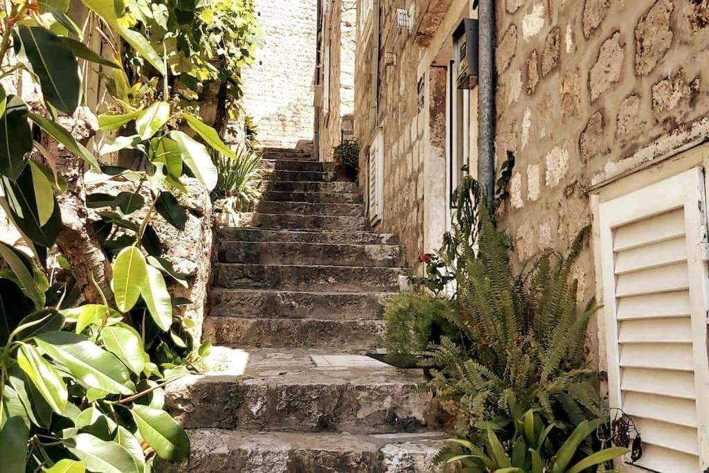 House Marija In Old Town Apartment ดูบรอฟนิก ภายนอก รูปภาพ